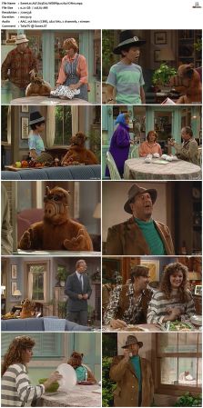 ALF S03 WEBRip x264-ION10