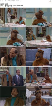 ALF S03 WEBRip x264-ION10