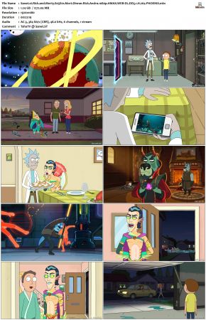 Rick and Morty S05 1080p HMAX WEB-DL DD5 1 H 264-PHOENiX
