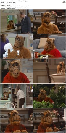 ALF S04 WEBRip x264-ION10