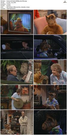 ALF S03 WEBRip x264-ION10