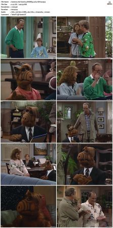ALF S02 WEBRip x264-ION10