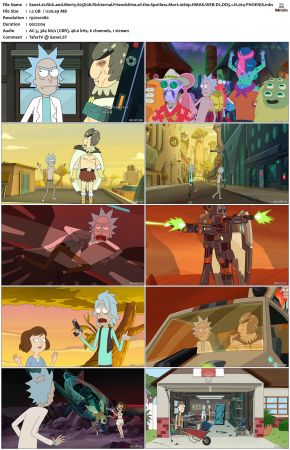 Rick and Morty S05 1080p HMAX WEB-DL DD5 1 H 264-PHOENiX