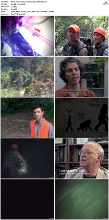 Lost Tapes S02 DVDRip XviD-FFNDVD