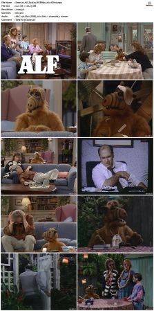 ALF S03 WEBRip x264-ION10