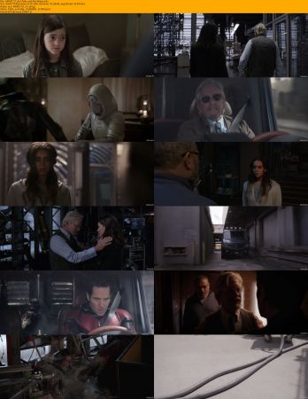 Ant-Man Duology 1080p BRRip x264 AC3 DiVERSiTY