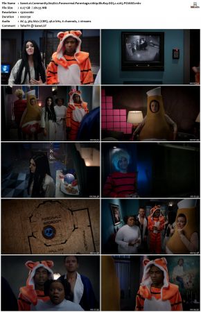 Community S04 1080p BluRay DD5 1 x265-POIASD