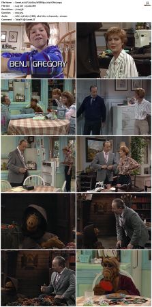 ALF S02 WEBRip x264-ION10