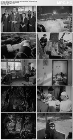 The North Star 1943 1080p BluRay x265-RARBG