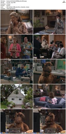 ALF S02 WEBRip x264-ION10