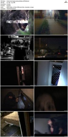 Lost Tapes S02 DVDRip XviD-FFNDVD