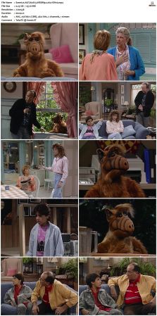 ALF S02 WEBRip x264-ION10