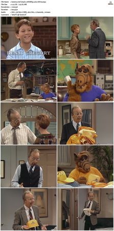 ALF S04 WEBRip x264-ION10