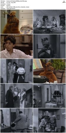ALF S03 WEBRip x264-ION10