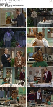 ALF S04 WEBRip x264-ION10
