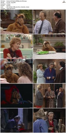 ALF S03 WEBRip x264-ION10