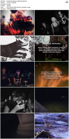 Lost Tapes S01 DVDRip XviD-OSiTV