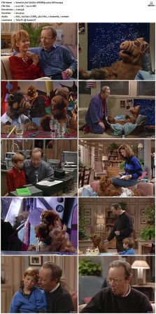 ALF S01 WEBRip x264-ION10