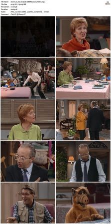 ALF S04 WEBRip x264-ION10