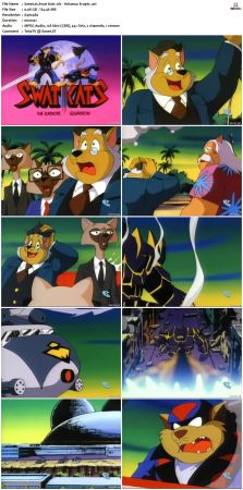 Swat Kats The Radical Squadron S02 DVDRip XviD-NOGRP