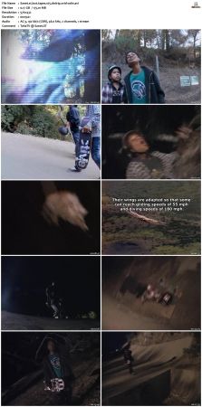 Lost Tapes S01 DVDRip XviD-OSiTV