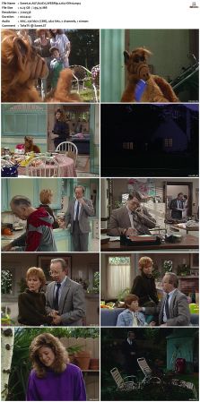 ALF S02 WEBRip x264-ION10