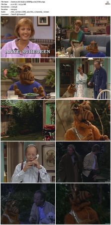 ALF S04 WEBRip x264-ION10