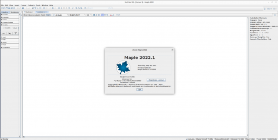 Maplesoft Maple 2022.1 Update Only LINUX (x64)
