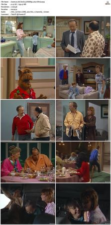 ALF S01 WEBRip x264-ION10