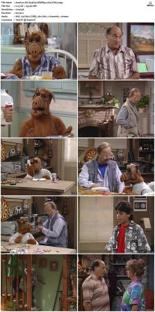ALF S03 WEBRip x264-ION10