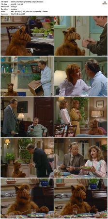 ALF S01 WEBRip x264-ION10