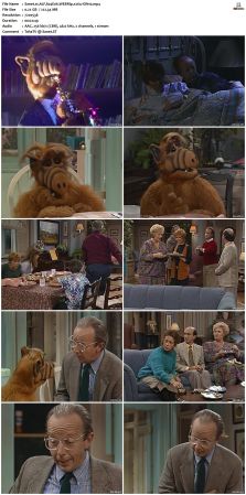 ALF S04 WEBRip x264-ION10