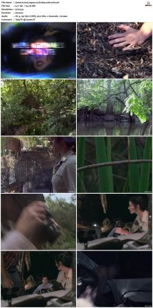 Lost Tapes S01 DVDRip XviD-OSiTV