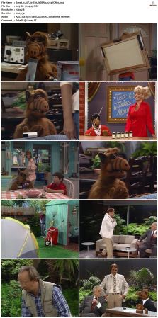 ALF S03 WEBRip x264-ION10