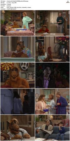 ALF S03 WEBRip x264-ION10