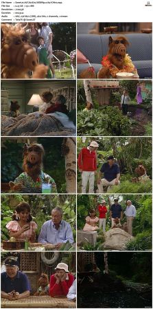 ALF S02 WEBRip x264-ION10