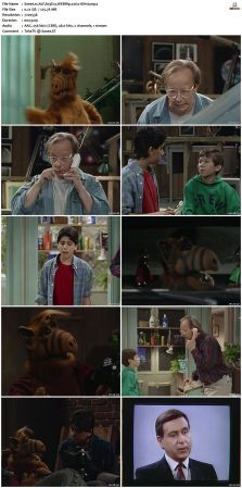 ALF S03 WEBRip x264-ION10