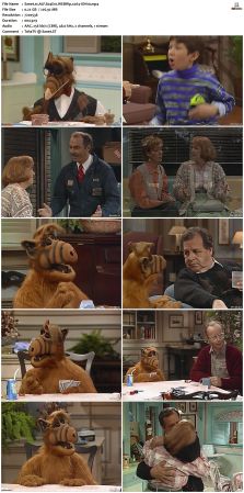 ALF S04 WEBRip x264-ION10