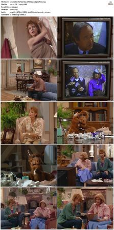ALF S01 WEBRip x264-ION10