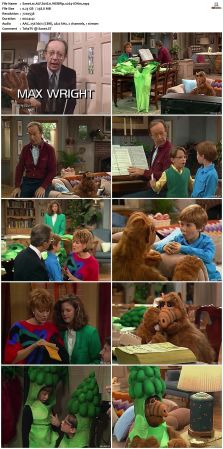 ALF S01 WEBRip x264-ION10