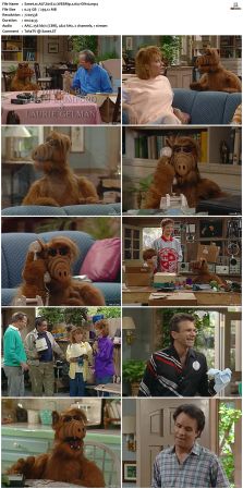 ALF S01 WEBRip x264-ION10