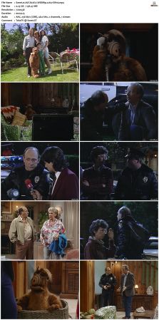 ALF S02 WEBRip x264-ION10