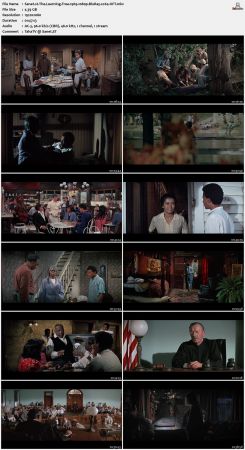The Learning Tree 1969 1080p BluRay x264-OFT