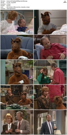ALF S03 WEBRip x264-ION10