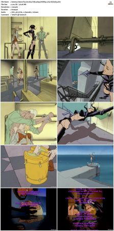 Aeon Flux S01-S03 480p DVDRip x264-Sticky83