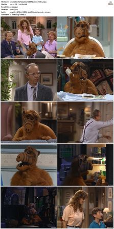 ALF S04 WEBRip x264-ION10