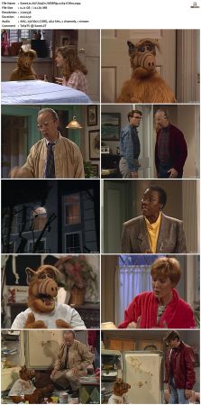 ALF S04 WEBRip x264-ION10