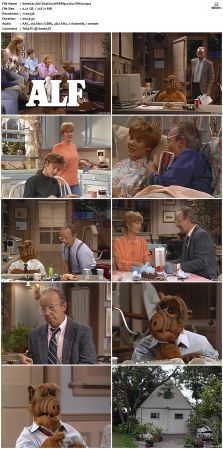 ALF S04 WEBRip x264-ION10