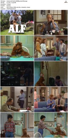 ALF S01 WEBRip x264-ION10