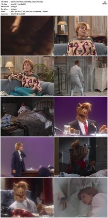 ALF S02 WEBRip x264-ION10